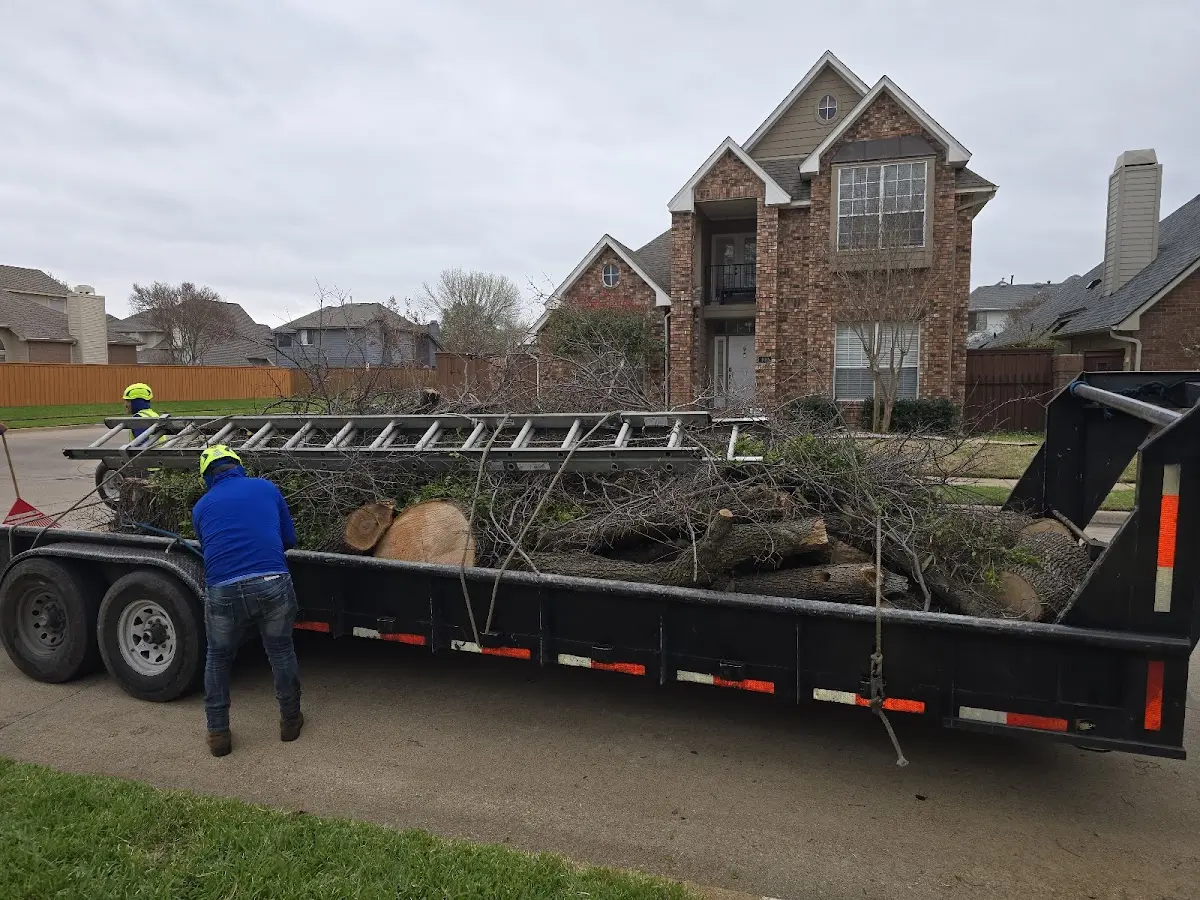Expert Tree Pest Control with proper safety equipment in Bicknell